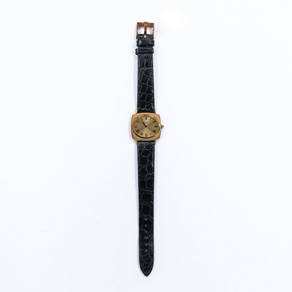 1970s Piaget